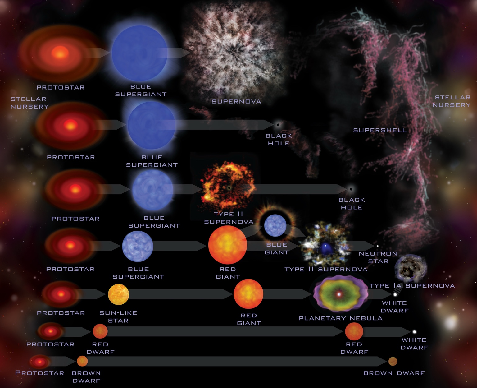 Stellar evolution illustration
